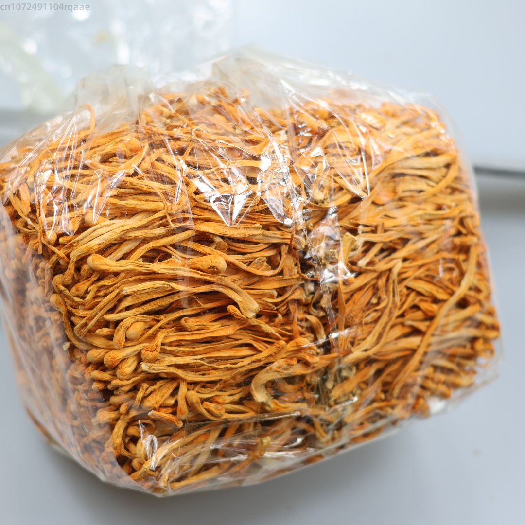250g/500g Cordyceps Bunga Keri - Soap Making Diy Kit ulasan dan harga