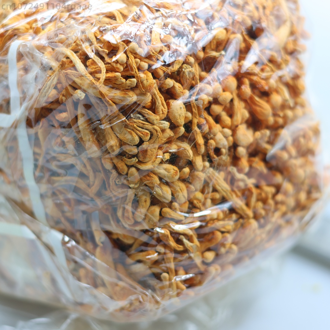 250g/500g Cordyceps Bunga Keri - Soap Making Diy Kit ulasan dan harga